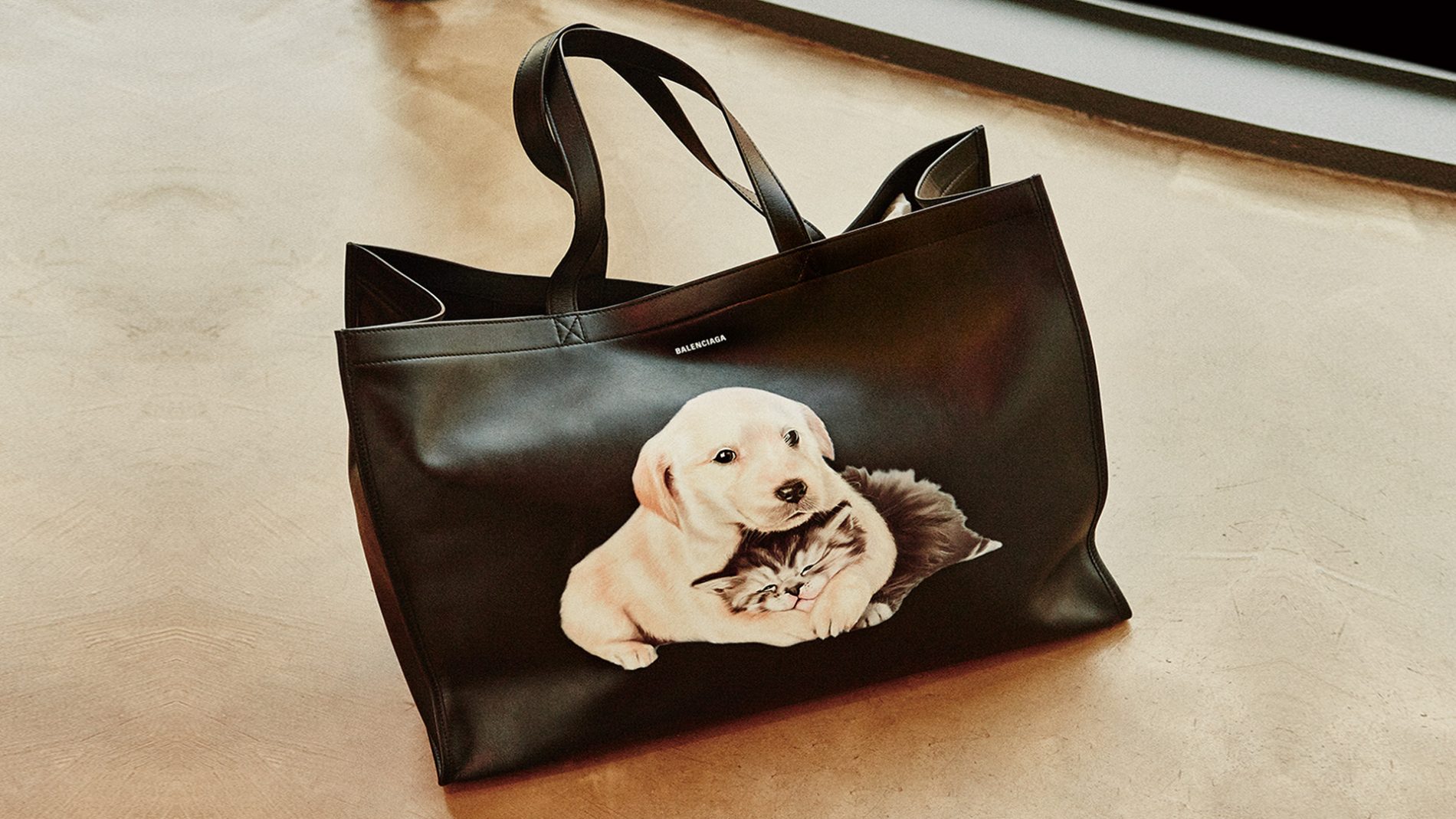 dolce and gabbana dog bag
